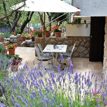 Palma & Pino דירה