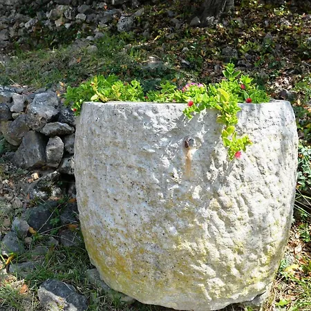 דירה Palma & Pino קרס