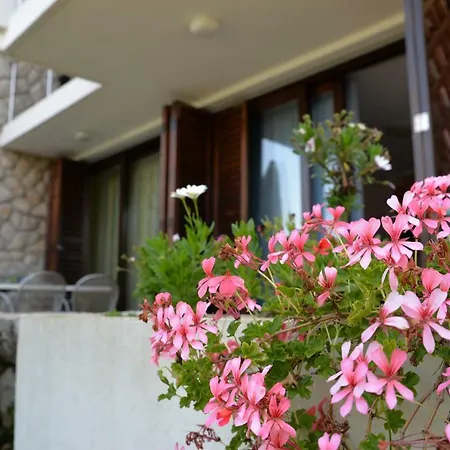 Apartman Palma & Pino *