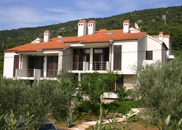 Palma & Pino *