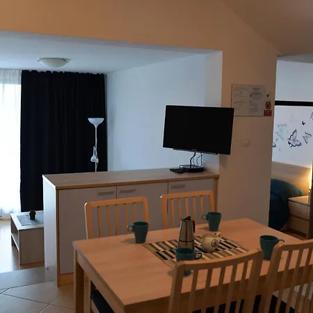 Palma & Pino * كريس