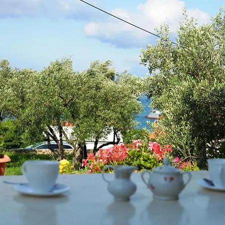 Palma & Pino * كريس