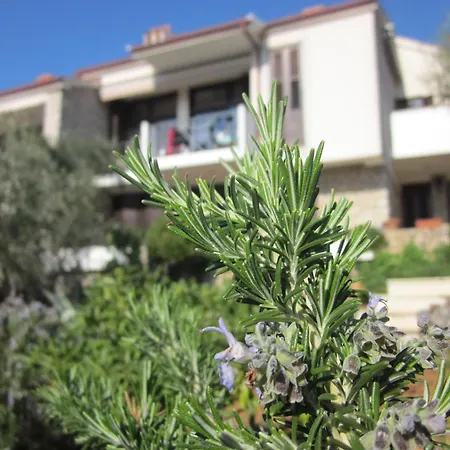 Palma & Pino Apartman