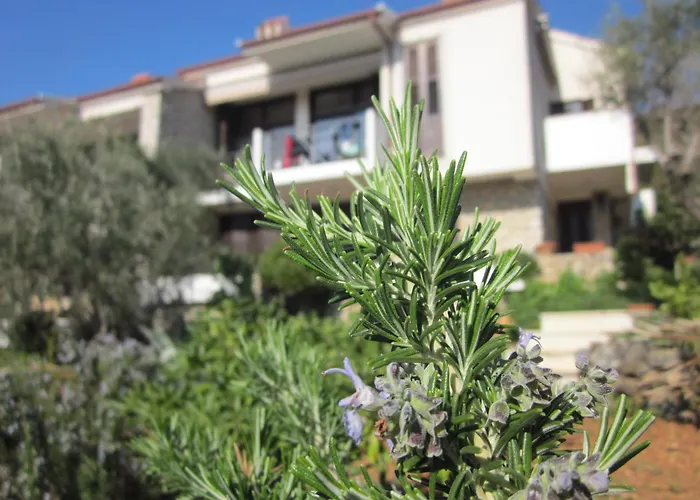 Palma & Pino Lejlighed